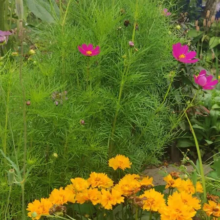 Struhadlo Вилла