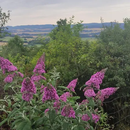 Struhadlo فيلة Bezdekov (Klatovy)